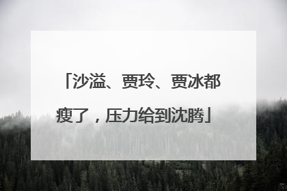沙溢、贾玲、贾冰都瘦了，压力给到沈腾