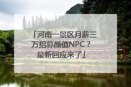 河南一景区月薪三万招募颜值NPC？最新回应来了