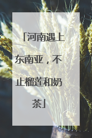 河南遇上东南亚，不止榴莲和奶茶