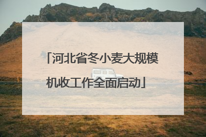 河北省冬小麦大规模机收工作全面启动
