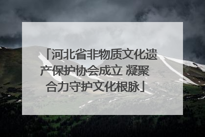 河北省非物质文化遗产保护协会成立 凝聚合力守护文化根脉