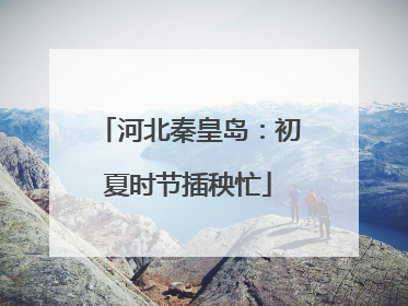 河北秦皇岛：初夏时节插秧忙