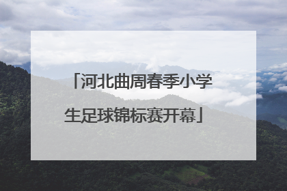 河北曲周春季小学生足球锦标赛开幕