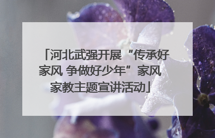 河北武强开展“传承好家风 争做好少年”家风家教主题宣讲活动