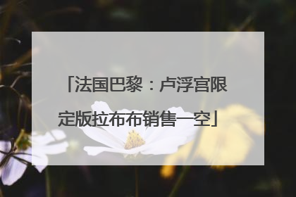 法国巴黎：卢浮宫限定版拉布布销售一空