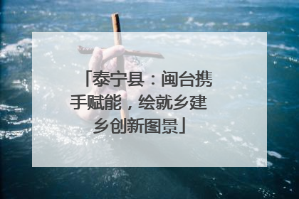 泰宁县：闽台携手赋能，绘就乡建乡创新图景