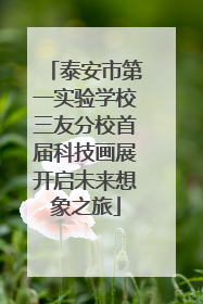泰安市第一实验学校三友分校首届科技画展开启未来想象之旅
