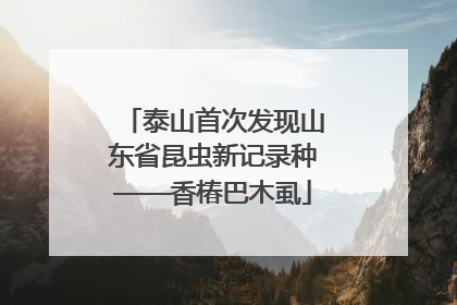 泰山首次发现山东省昆虫新记录种——香椿巴木虱