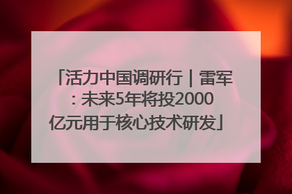 活力中国调研行｜雷军：未来5年将投2000亿元用于核心技术研发