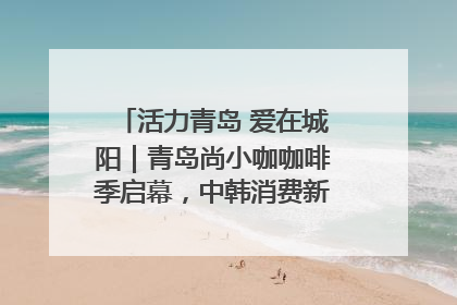 活力青岛 爱在城阳｜青岛尚小咖咖啡季启幕，中韩消费新场景点燃夏日热情