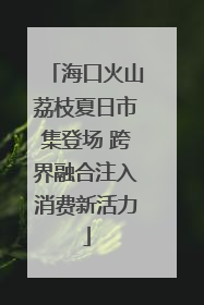 海口火山荔枝夏日市集登场 跨界融合注入消费新活力