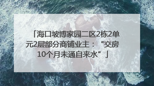海口坡博家园二区2栋2单元2层部分商铺业主：“交房10个月未通自来水”