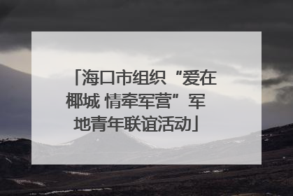 海口市组织“爱在椰城 情牵军营”军地青年联谊活动