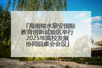 海南陵水黎安国际教育创新试验区举行2025年高校发展协同圆桌会会议