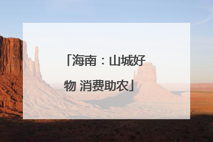 海南：山城好物 消费助农