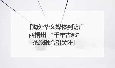 海外华文媒体到访广西梧州 “千年古郡”茶旅融合引关注