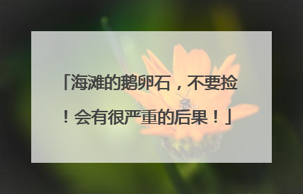 海滩的鹅卵石，不要捡！会有很严重的后果！