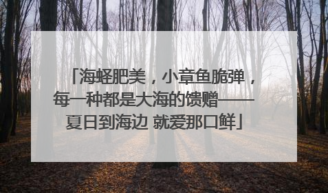 海蛏肥美，小章鱼脆弹，每一种都是大海的馈赠——夏日到海边 就爱那口鲜