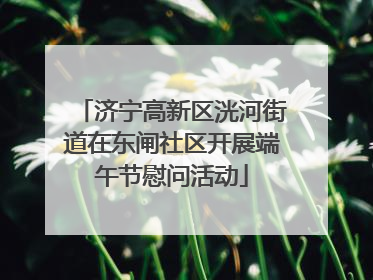 济宁高新区洸河街道在东闸社区开展端午节慰问活动