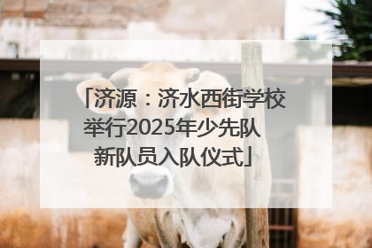 济源：济水西街学校举行2025年少先队新队员入队仪式