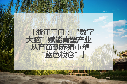 浙江三门：“数字大脑”赋能青蟹产业 从育苗到养殖重塑“蓝色粮仓”