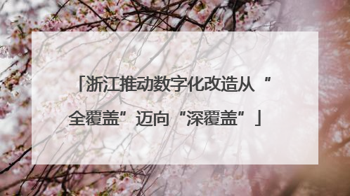 浙江推动数字化改造从“全覆盖”迈向“深覆盖”