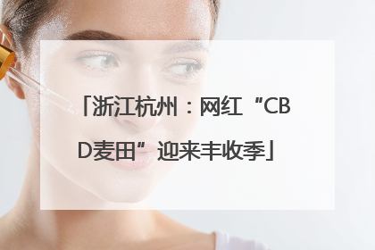 浙江杭州：网红“CBD麦田”迎来丰收季