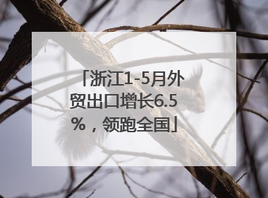 浙江1-5月外贸出口增长6.5%，领跑全国