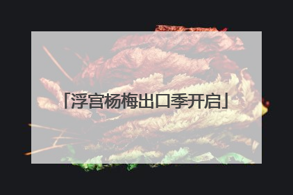 浮宫杨梅出口季开启