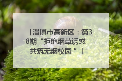 淄博市高新区：第38期“拒绝烟草诱惑 共筑无烟校园 ”