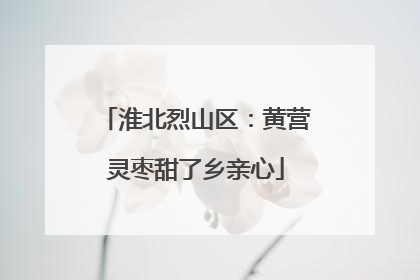淮北烈山区：黄营灵枣甜了乡亲心