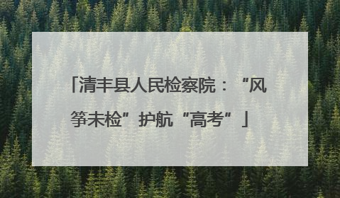清丰县人民检察院：“风筝未检”护航“高考”