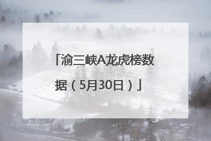 渝三峡A龙虎榜数据（5月30日）