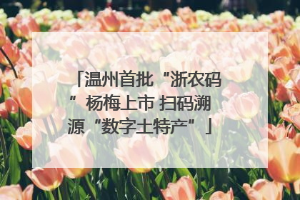 温州首批“浙农码”杨梅上市 扫码溯源“数字土特产”