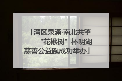 湾区泉涌·南北共擎——“花楸树”杯明湖慈善公益跑成功举办