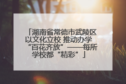 湖南省常德市武陵区以文化立校 推动办学“百花齐放”——每所学校都“精彩”