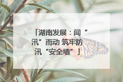 湖南发展：闻“汛”而动 筑牢防汛“安全墙”