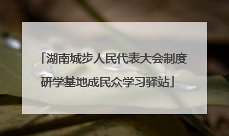 湖南城步人民代表大会制度研学基地成民众学习驿站
