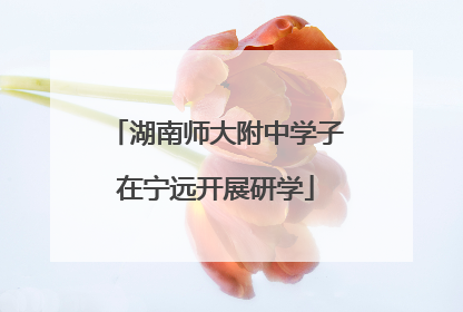 湖南师大附中学子在宁远开展研学