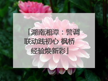湖南湘潭：警调联动践初心 枫桥经验焕新彩