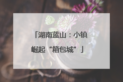 湖南蓝山：小镇崛起“箱包城”
