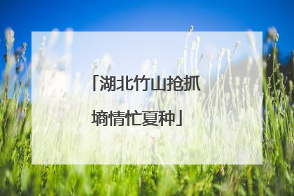 湖北竹山抢抓墒情忙夏种