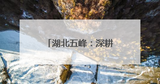 湖北五峰：深耕“茶乡警务” 守护春茶经济