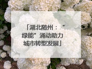 湖北随州：“绿能”涌动助力城市转型发展