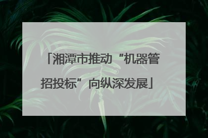 湘潭市推动“机器管招投标”向纵深发展