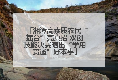 湘潭高素质农民“擂台”亮真招 双创技能决赛晒出“学用贯通”好本事