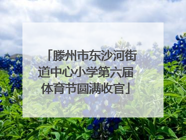 滕州市东沙河街道中心小学第六届体育节圆满收官