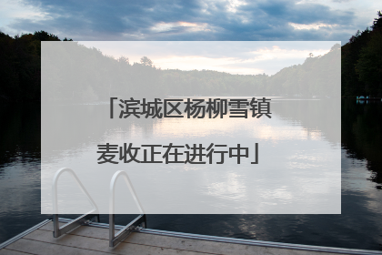 滨城区杨柳雪镇麦收正在进行中