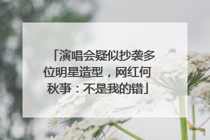 演唱会疑似抄袭多位明星造型，网红何秋亊：不是我的错