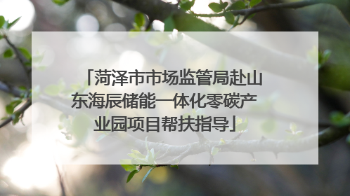菏泽市市场监管局赴山东海辰储能一体化零碳产业园项目帮扶指导